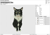 Cat Realistic v4 Embroidery