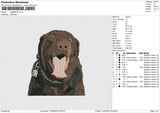 Dog080423 Embroidery