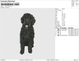 dog 270323