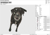 Dog 270923 Embroidery File 6 size