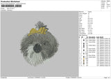 dog v70