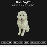 photo dog0112